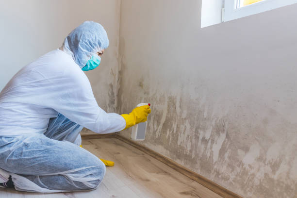 Hvac And Air Duct Mold Remediation inspection of HVAC system in Garfield